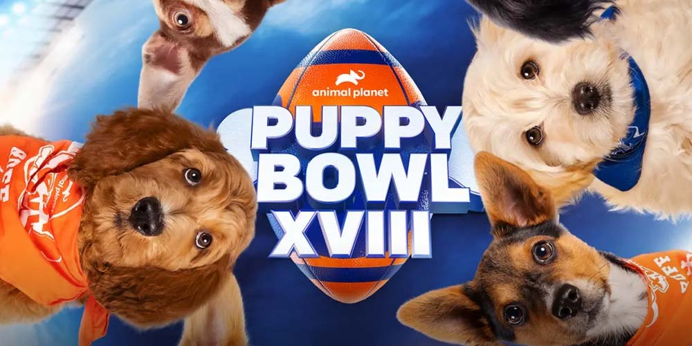 2022 Puppy Bowl