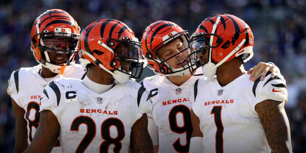 Cincinnati bengals